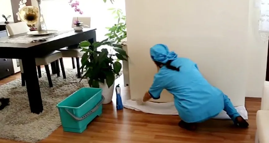 Pendik Ev Temizlik Şirketi