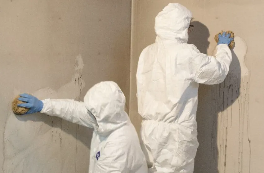 Kağithane Yangın Sonrası Temizlik